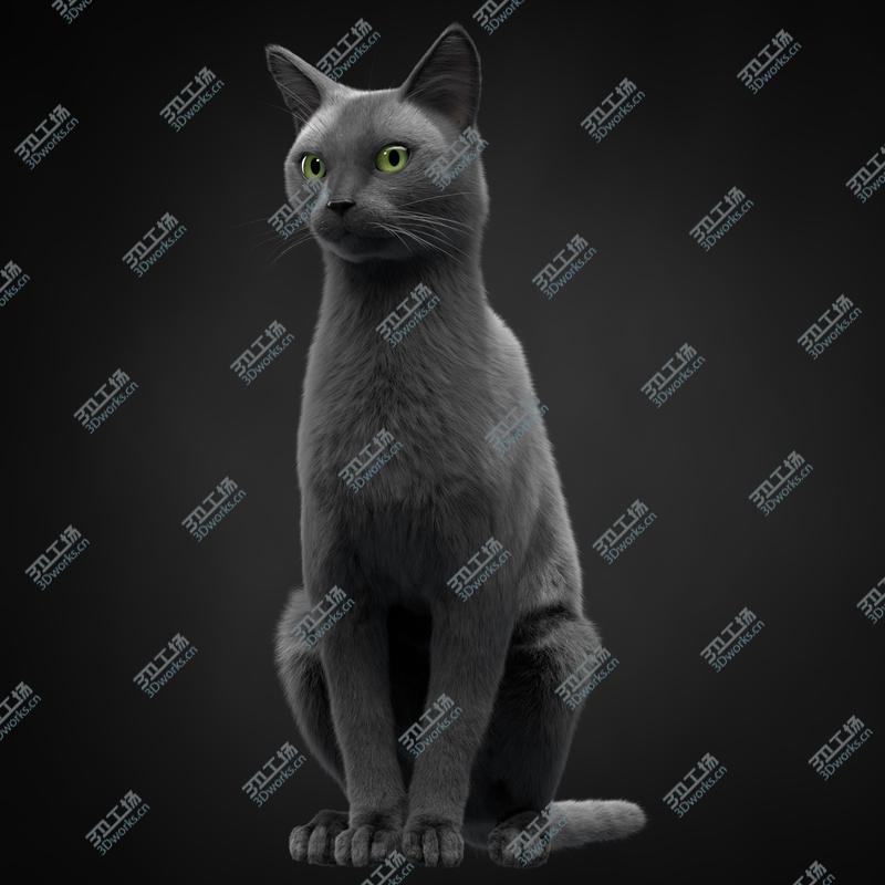 images/goods_img/202105074/Cat Grey v1 3D model/3.jpg